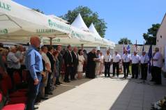 Mini IMG 6163